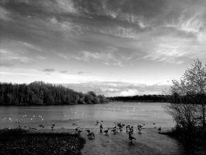 Foxall Forge Lake Francis Asbury Circuits in England