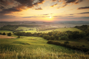 wiltshire country side 2